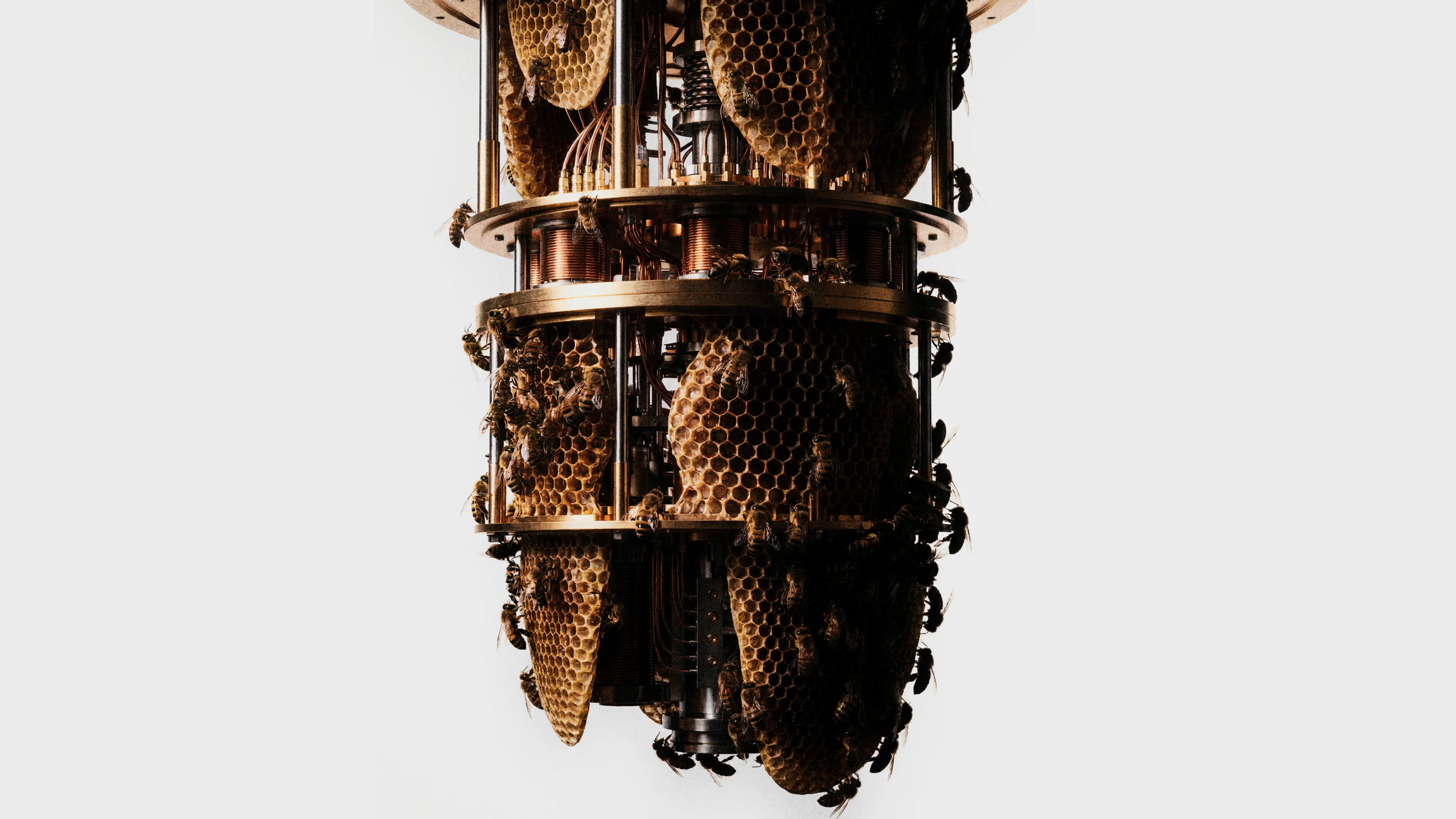 Quantum computer structure overtaken by bees and honeycomb