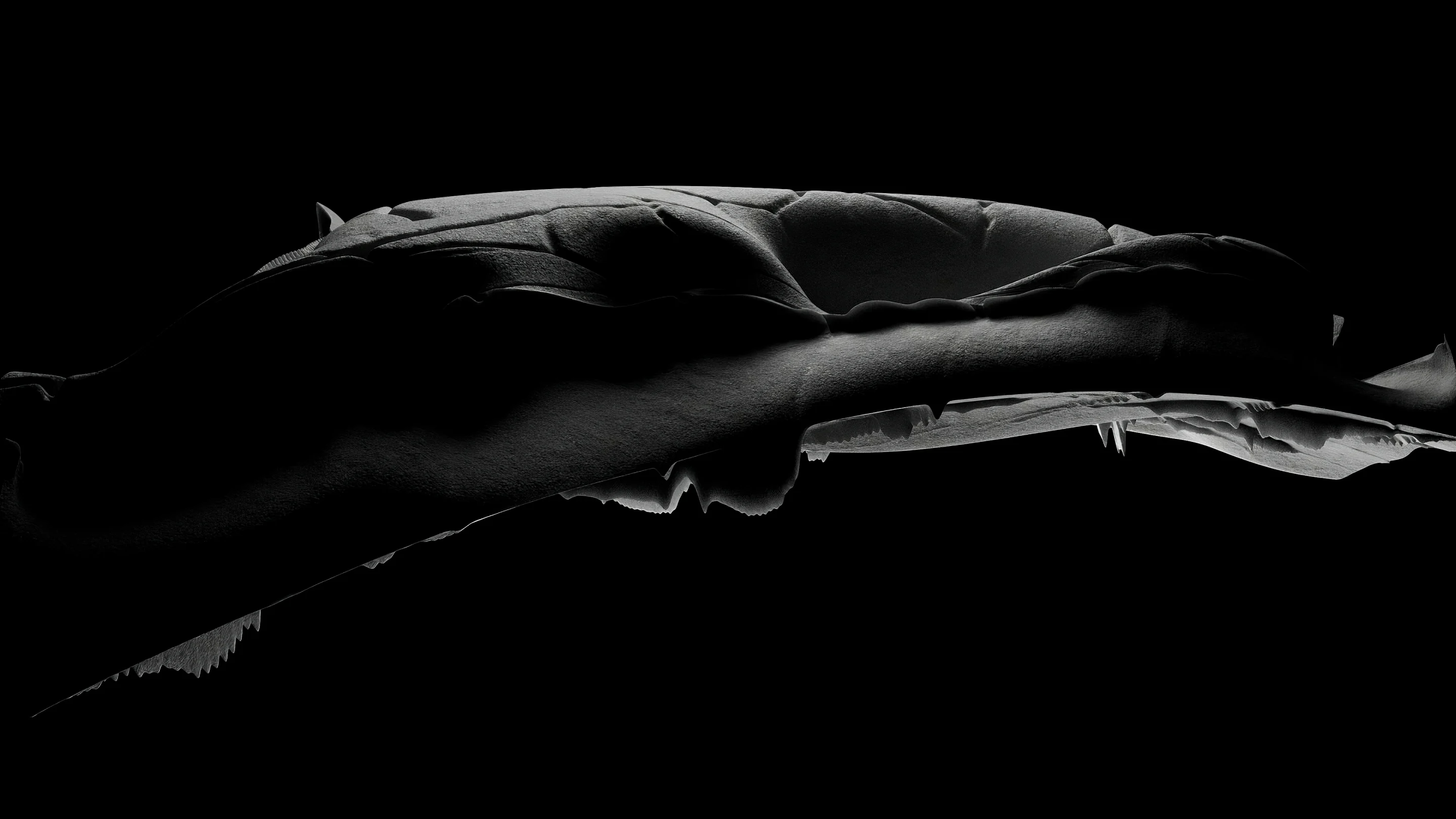 Sweeping charcoal surface with soft folds and a pale jagged underside