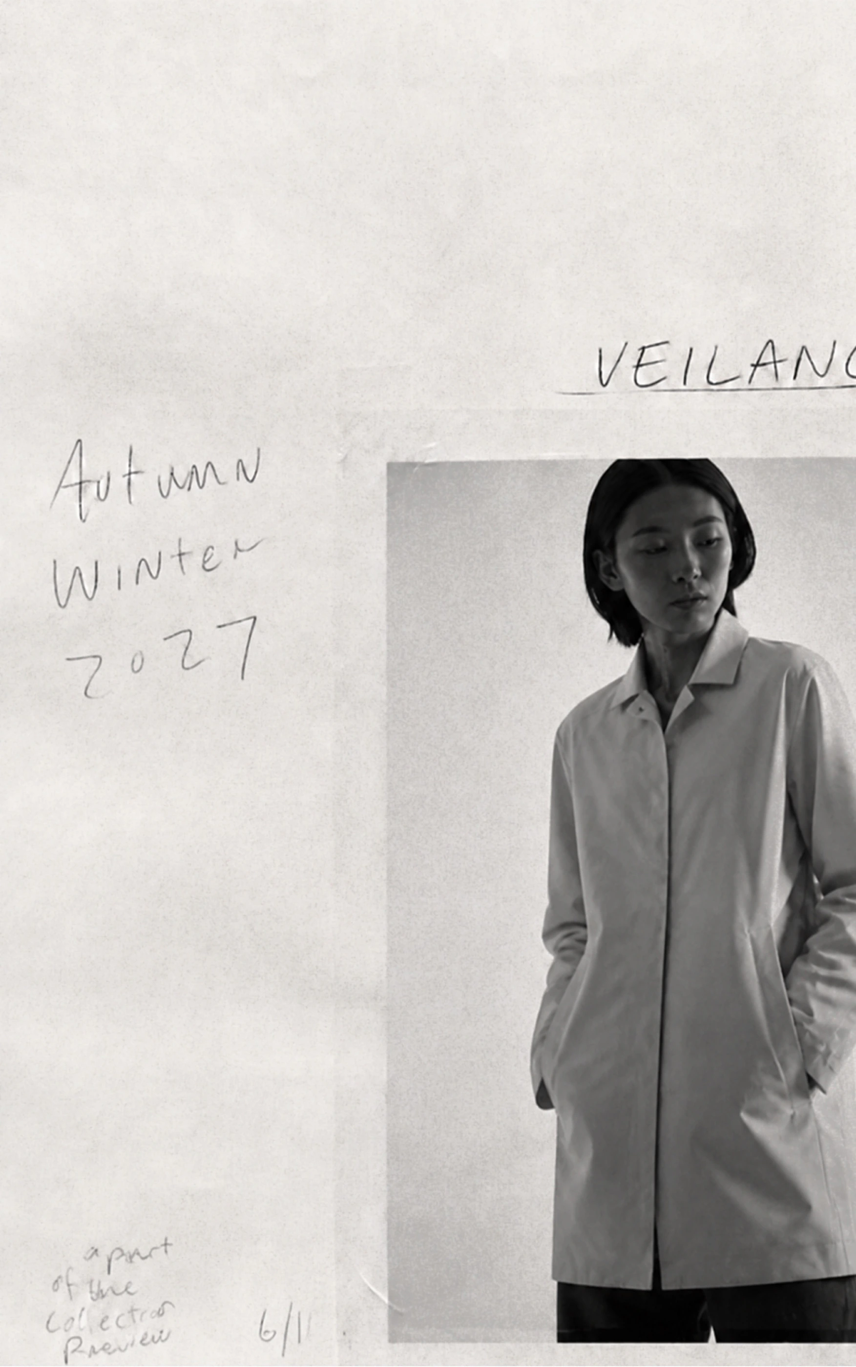 Veilance monochrome study